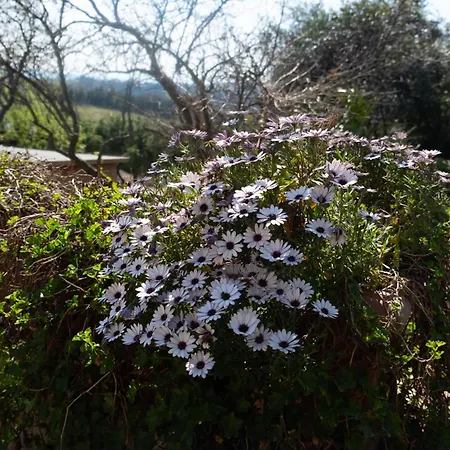 Casa Torre Adults Only Storia E Relax A Fiorenzuola Apartamento *