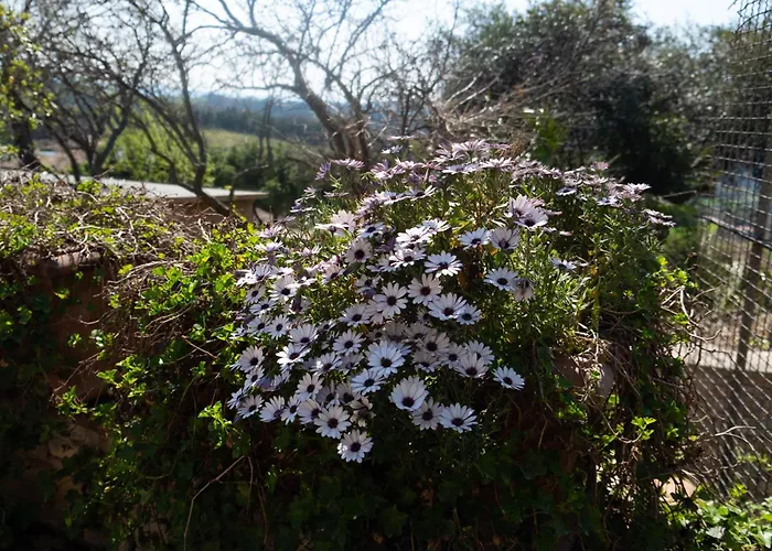 Casa Torre Adults Only Storia E Relax A Fiorenzuola Apartamento *